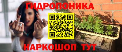 PSILOCYBIN Краснознаменск